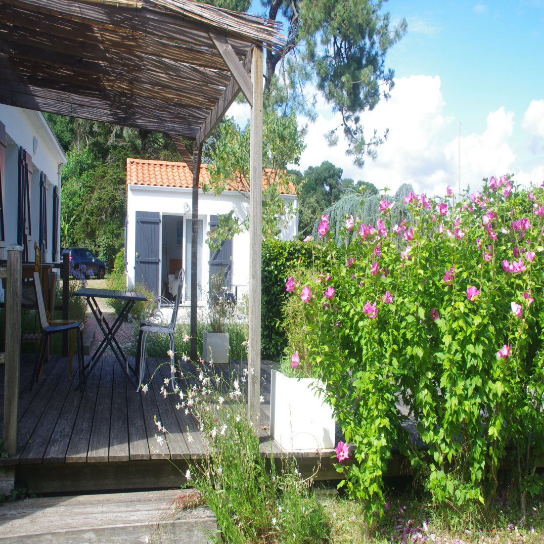 Distribution De La Maison Sur La Plage vente Maison entre foret et plages | Rue de la Paix.immo